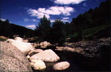Chunks of granite in the river bed