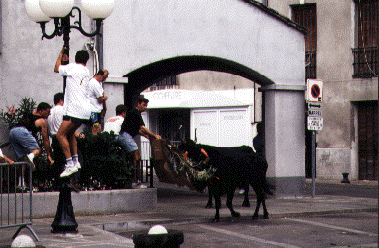 Marktplatz als Arena